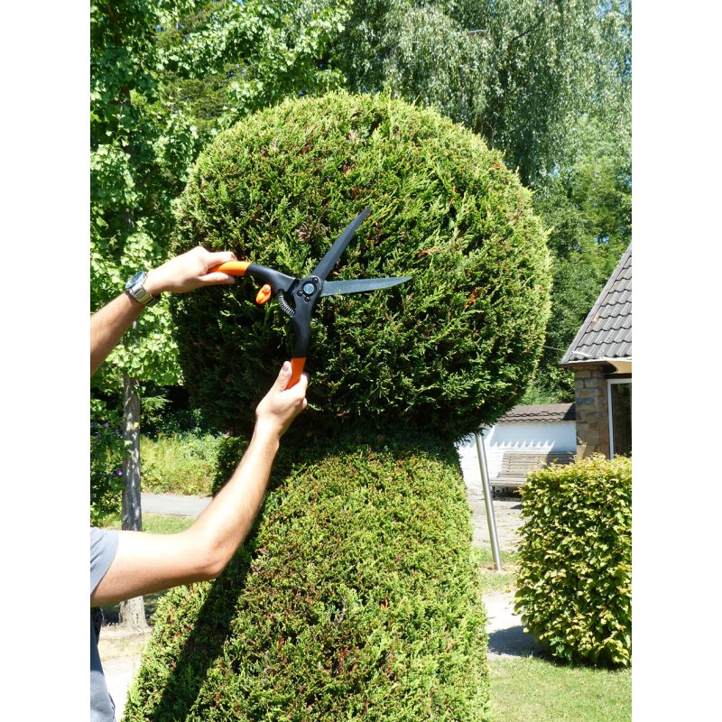 Garten PRIMUS cisaille buis grande, noir/orange, trempé dur, revêtement antiadhésif